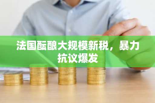 法国酝酿大规模新税，暴力抗议爆发