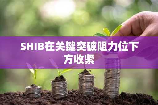 SHIB在关键突破阻力位下方收紧