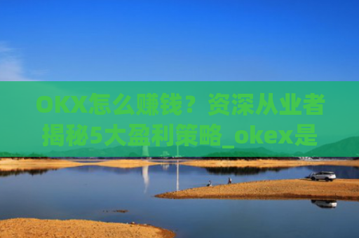 OKX怎么赚钱？资深从业者揭秘5大盈利策略_okex是怎么赚钱的
