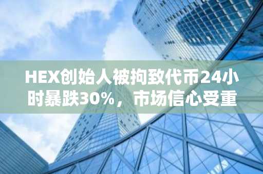 HEX创始人被拘致代币24小时暴跌30%，市场信心受重创