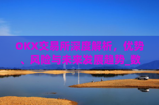 OKX交易所深度解析，优势、风险与未来发展趋势_数字币交易所排名