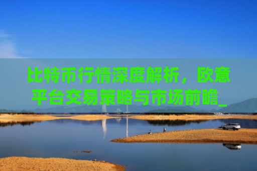 比特币行情深度解析，欧意平台交易策略与市场前瞻_比特币欧元汇率