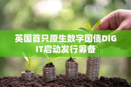 英国首只原生数字国债DIGIT启动发行筹备
