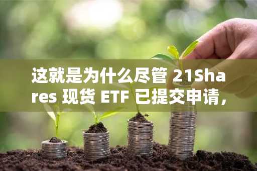 这就是为什么尽管 21Shares 现货 ETF 已提交申请，SEI 价格仍下跌 2%