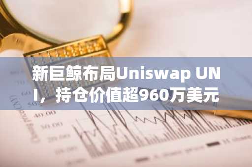 新巨鲸布局Uniswap UNI,持仓价值超960万美元