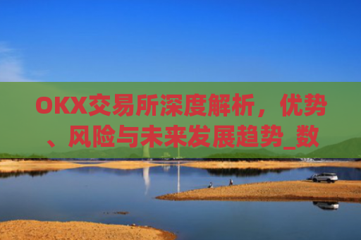 OKX交易所深度解析，优势、风险与未来发展趋势_数字币交易所.交易app.中国