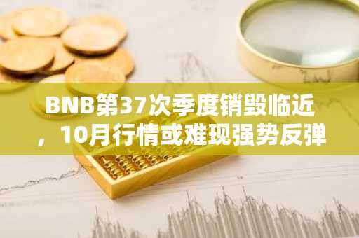 BNB第37次季度销毁临近，10月行情或难现强势反弹