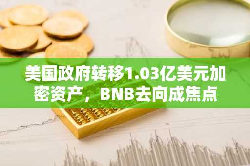 美国政府转移1.03亿美元加密资产，BNB去向成焦点
