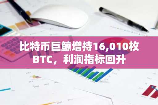 比特币巨鲸增持16,010枚BTC，利润指标回升