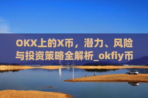OKX上的X币，潜力、风险与投资策略全解析_okfiy币