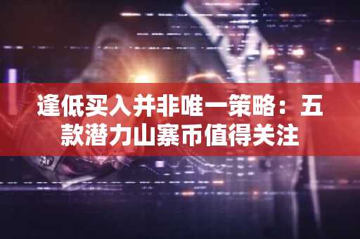 逢低买入并非唯一策略：五款潜力山寨币值得关注