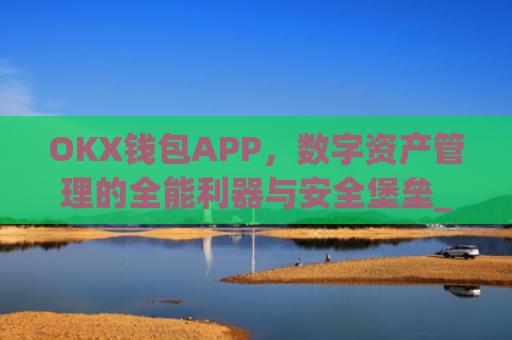 OKX钱包APP，数字资产管理的全能利器与安全堡垒_okx钱包安全吗