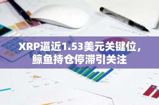 XRP逼近1.53美元关键位，鲸鱼持仓停滞引关注