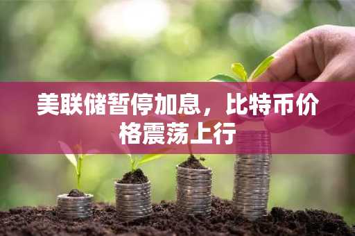 美联储暂停加息，比特币价格震荡上行