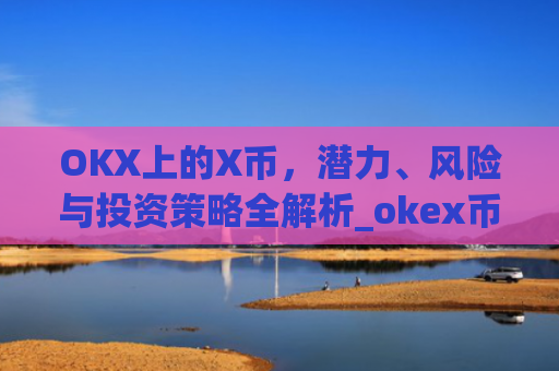 OKX上的X币，潜力、风险与投资策略全解析_okex币币