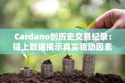 Cardano创历史交易纪录：链上数据揭示真实驱动因素