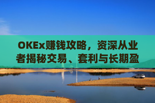 OKEx赚钱攻略，资深从业者揭秘交易、套利与长期盈利策略_okex一年赚多少钱