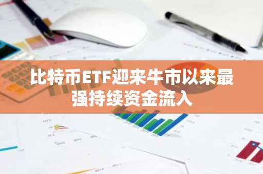 比特币ETF迎来牛市以来最强持续资金流入