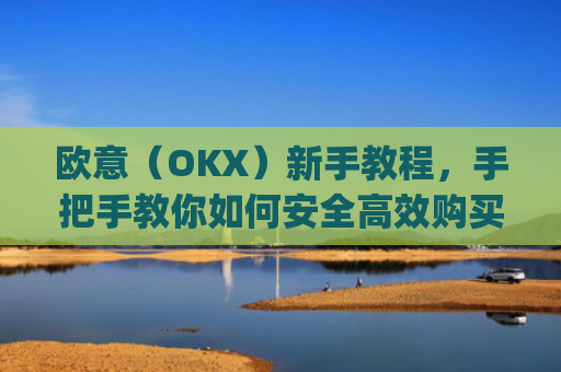 欧意（OKX）新手教程，手把手教你如何安全高效购买比特币_欧元怎么买比特币