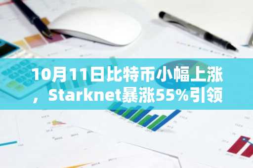 10月11日比特币小幅上涨，Starknet暴涨55%引领市场