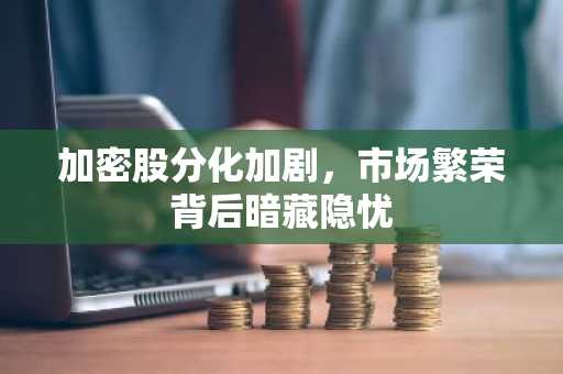 加密股分化加剧，市场繁荣背后暗藏隐忧