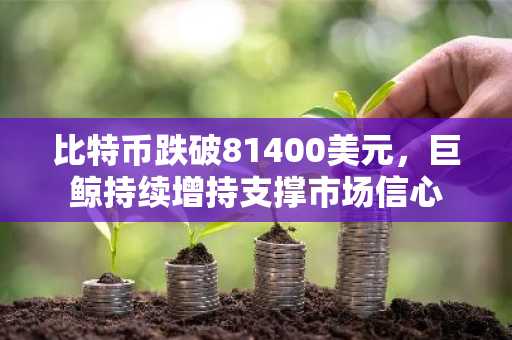 比特币跌破81400美元，巨鲸持续增持支撑市场信心