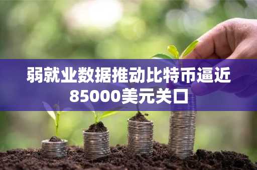 弱就业数据推动比特币逼近85000美元关口