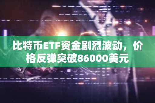 比特币ETF资金剧烈波动，价格反弹突破86000美元
