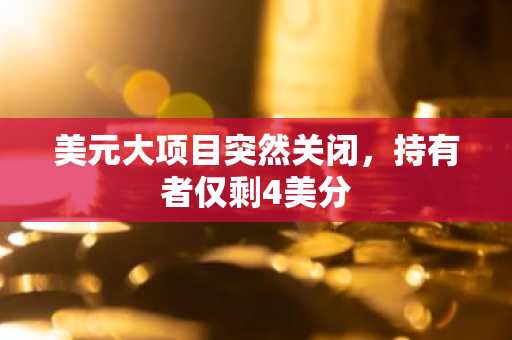 美元大项目突然关闭，持有者仅剩4美分