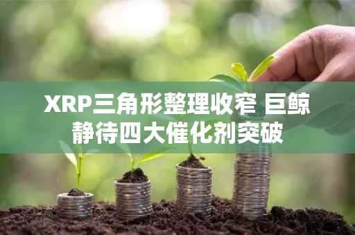 XRP三角形整理收窄 巨鲸静待四大催化剂突破