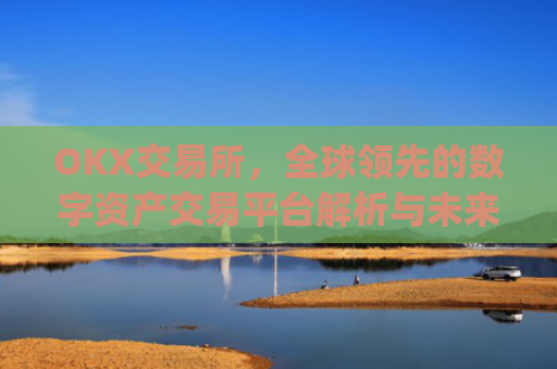 OKX交易所，全球领先的数字资产交易平台解析与未来展望_okx交易所怎么设置中文