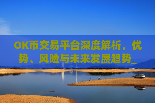 OK币交易平台深度解析，优势、风险与未来发展趋势_