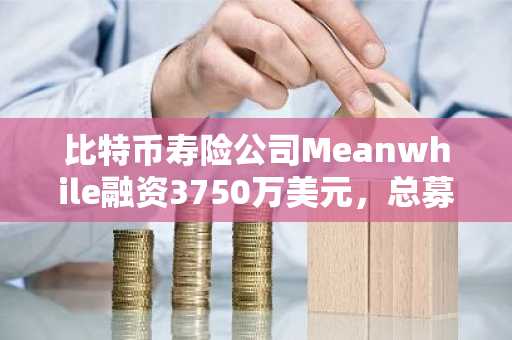 比特币寿险公司Meanwhile融资3750万美元，总募资超1.8亿美元