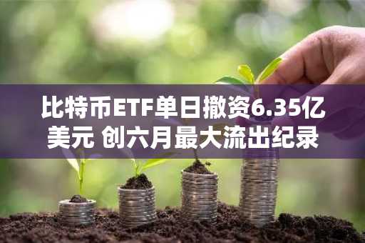 比特币ETF单日撤资6.35亿美元 创六月最大流出纪录