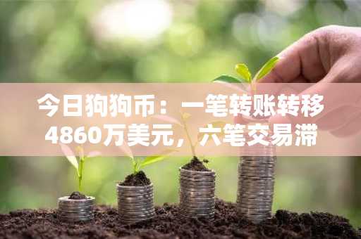 今日狗狗币：一笔转账转移4860万美元，六笔交易滞留内存池