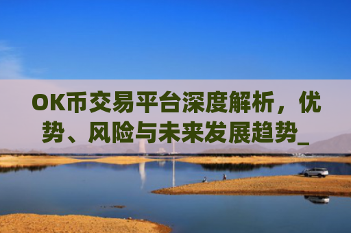 OK币交易平台深度解析，优势、风险与未来发展趋势_