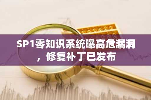 SP1零知识系统曝高危漏洞，修复补丁已发布