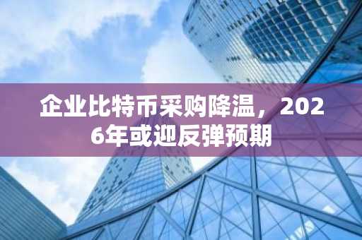 企业比特币采购降温，2026年或迎反弹预期