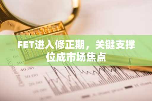 FET进入修正期，关键支撑位成市场焦点