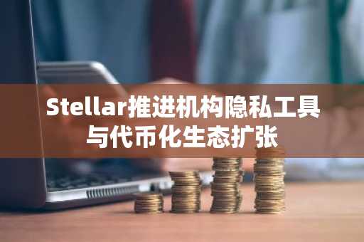 Stellar推进机构隐私工具与代币化生态扩张