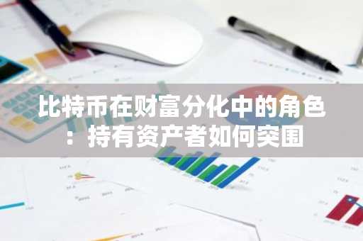 比特币在财富分化中的角色：持有资产者如何突围
