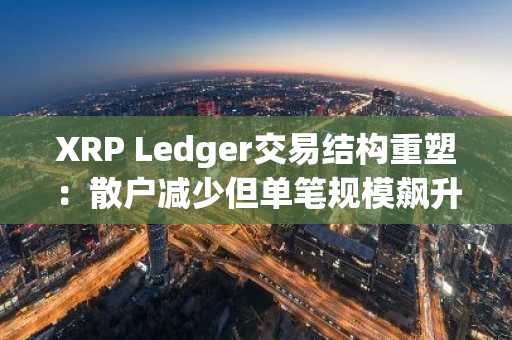 XRP Ledger交易结构重塑：散户减少但单笔规模飙升