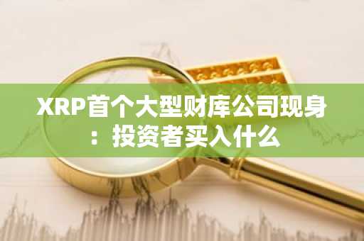 XRP首个大型财库公司现身：投资者买入什么