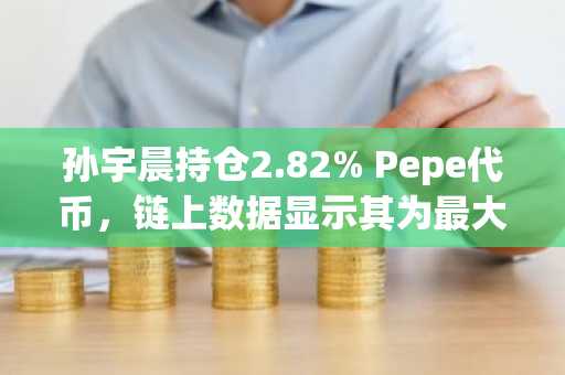 孙宇晨持仓2.82% Pepe代币，链上数据显示其为最大个人持有者