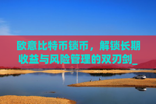 欧意比特币锁币，解锁长期收益与风险管理的双刃剑_欧比特币app