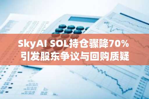 SkyAI SOL持仓骤降70% 引发股东争议与回购质疑