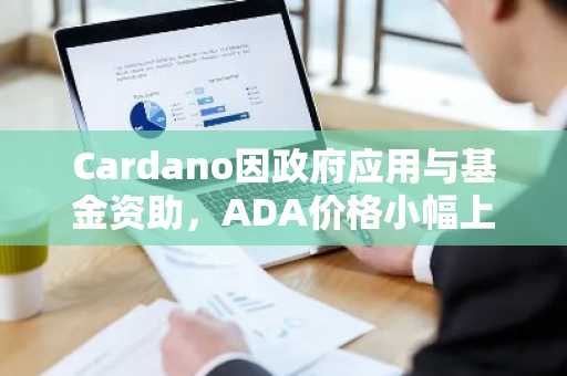 Cardano因政府应用与基金资助，ADA价格小幅上涨1.2%