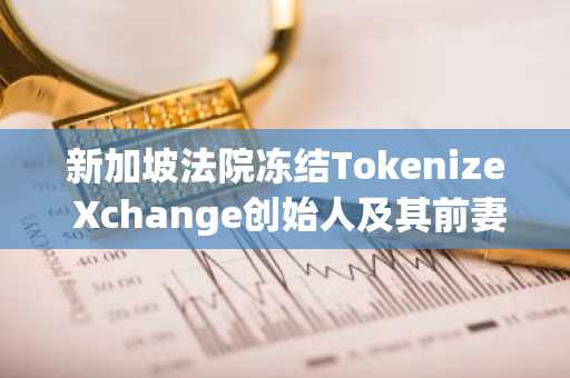 新加坡法院冻结Tokenize Xchange创始人及其前妻资产