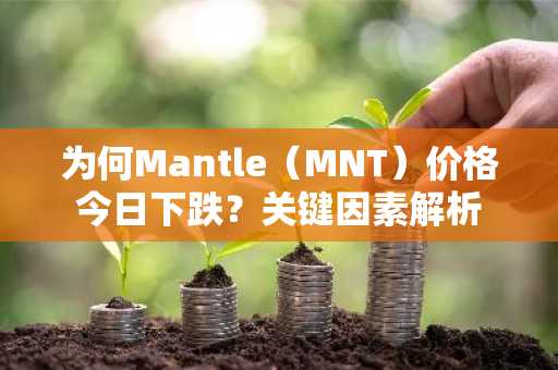 为何Mantle（MNT）价格今日下跌？关键因素解析