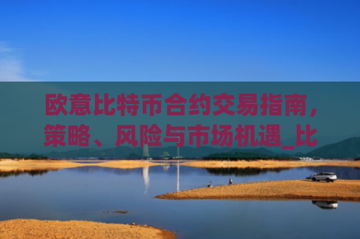 欧意比特币合约交易指南，策略、风险与市场机遇_比特币合约omex